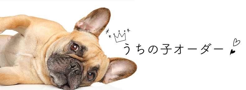 クッションマスコットうちの子オーダー